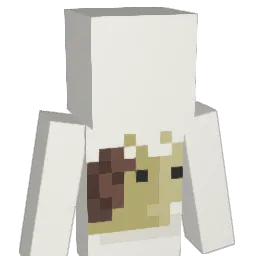 pbehnj Minecraft avatar bust