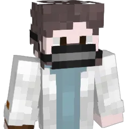 pdziemer Minecraft avatar bust
