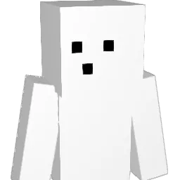 peace09090 Minecraft avatar bust