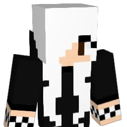 peacock67 Minecraft avatar bust