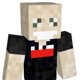 pelittaja1 Minecraft avatar bust