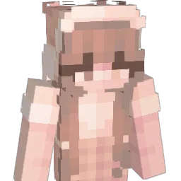 pengu1nari Minecraft avatar bust
