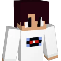 percolator9 Minecraft avatar bust