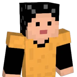 perr555 Minecraft avatar bust