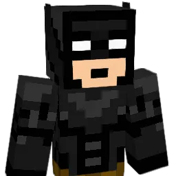 petcraft116 Minecraft avatar bust