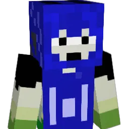 pethetique Minecraft avatar bust