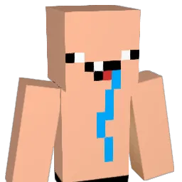 petounho Minecraft avatar bust