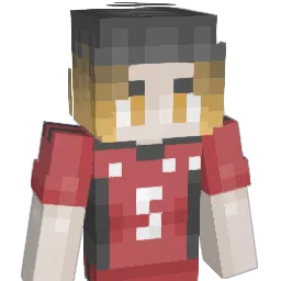pettydva Minecraft avatar bust