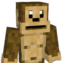 peytonXCX