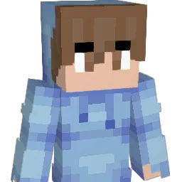 pheonix291 Minecraft avatar bust