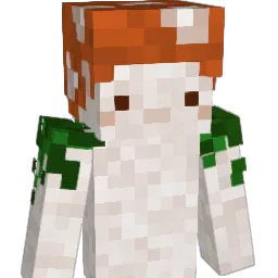 phesym Minecraft avatar bust