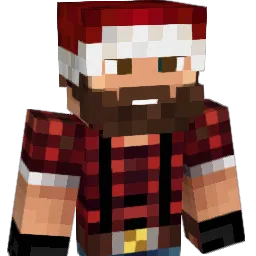 phida31's Minecraft skin