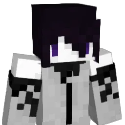 pi1102's Minecraft skin