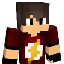 pi_br Minecraft avatar bust