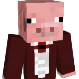 pi_is_yummy Minecraft avatar bust