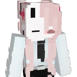 pibiti5 Minecraft avatar bust