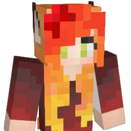 pie11_11