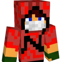 pietrom00 Minecraft avatar bust