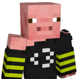 pig_009
