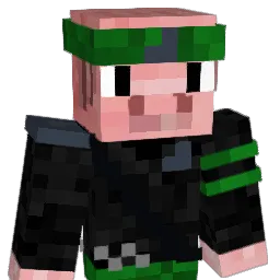 pigi_ninja12 Minecraft avatar bust