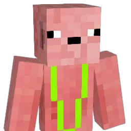 pigo363 Minecraft avatar bust