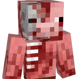 pigraider630 Minecraft avatar bust