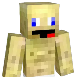 pigyness05 Minecraft avatar bust