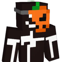pik_45 Minecraft avatar bust