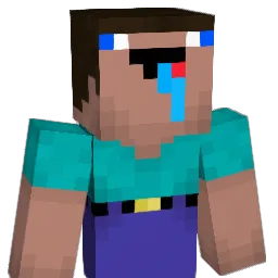 pimkets Minecraft avatar bust