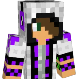 pinbuster11 Minecraft avatar bust