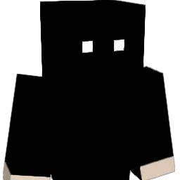 pineapplesquid69 Minecraft avatar bust
