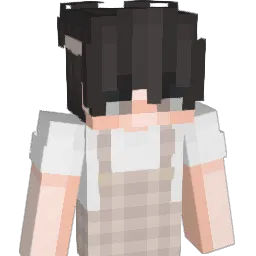 ping1771's Minecraft skin