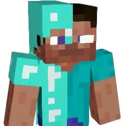 ping9