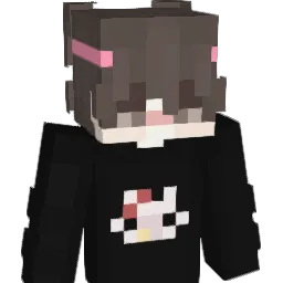 pingwin777 Minecraft avatar bust