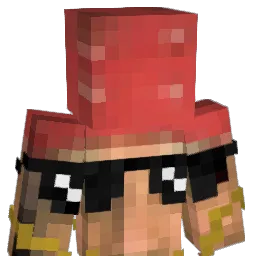 pingwin_to_kot Minecraft avatar bust