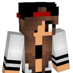 pink2211 Minecraft avatar bust