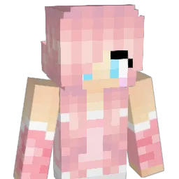 pink911 Minecraft avatar bust
