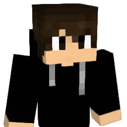 pino_craft Minecraft avatar bust