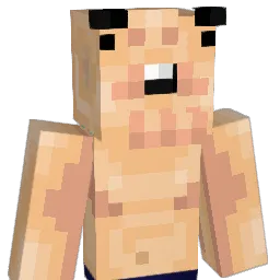 pipirka_ Minecraft avatar bust