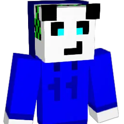 pipis_11 Minecraft avatar bust