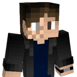 pippogames_2008 Minecraft avatar bust