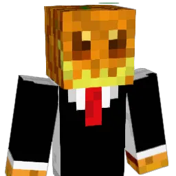 pir0010 Minecraft avatar bust
