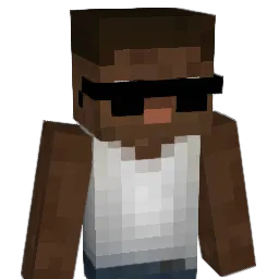 pitw11's Minecraft skin