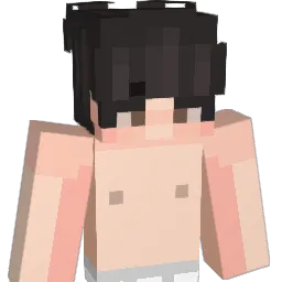 pixel51110's Minecraft skin