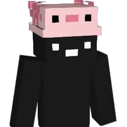 pizann Minecraft avatar bust