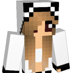 pj2173 Minecraft avatar bust