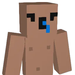 pj333342 Minecraft avatar bust