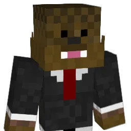 pjman1 Minecraft avatar bust