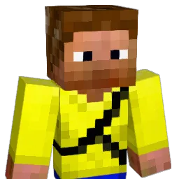 pjoren56 Minecraft avatar bust