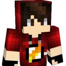 pk_BR Minecraft avatar bust